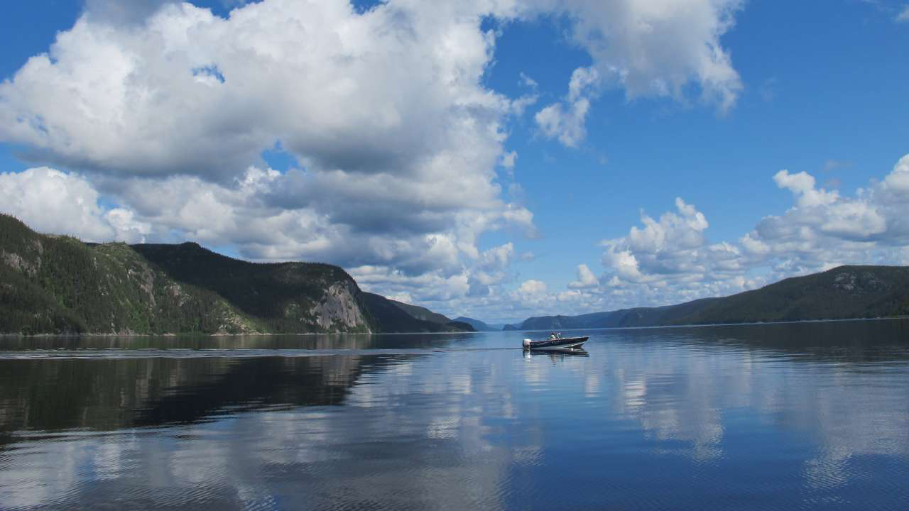 Crédit : Réserve faunique de Port-Cartier-Sept-Îles, Sépaq 